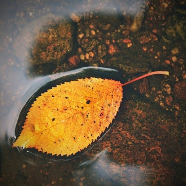 file_94968600
