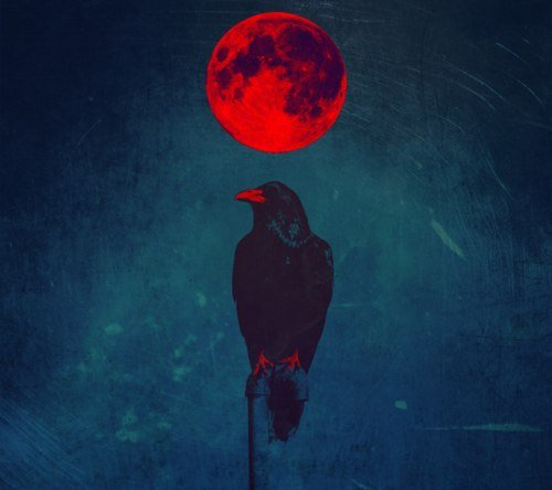 Black Raven (9)