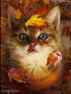 file_59428361