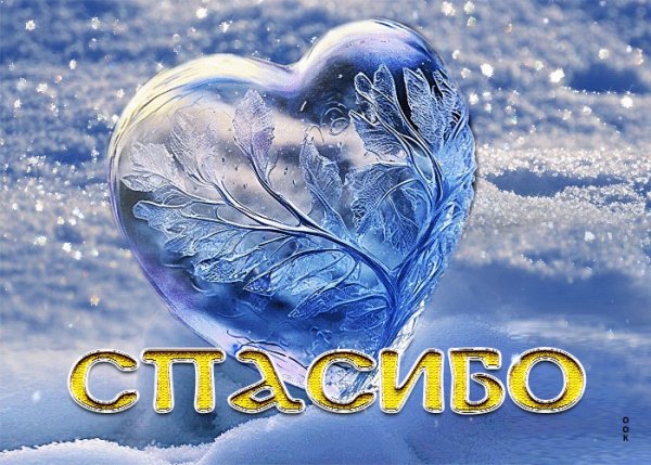 file_98784501