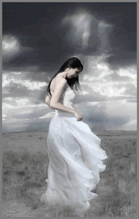file_81632296