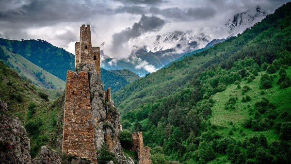 4в (590) (Copy) (Copy)