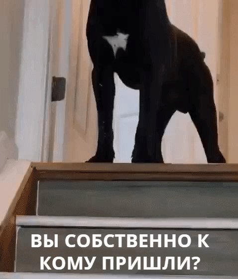 IMG 20221227 115028