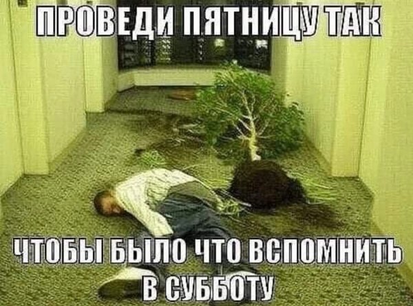 Ландшафтный дизайнер интерьеров!!!
