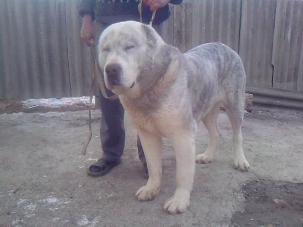 Изображение 095