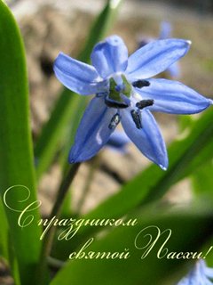 file_29784423