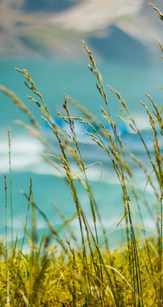 2eabad38cdd78cef4181c37ebe679a0c