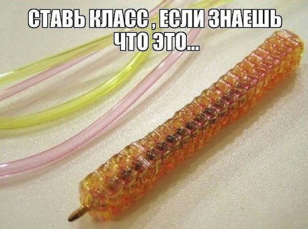 Пока в больке отдыхал