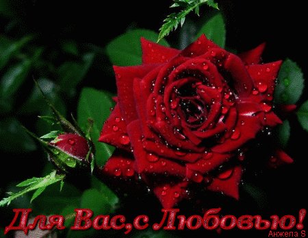 file_72337007