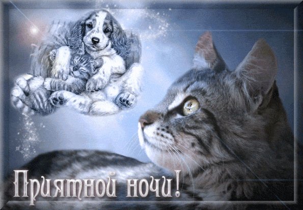Приятной ночи