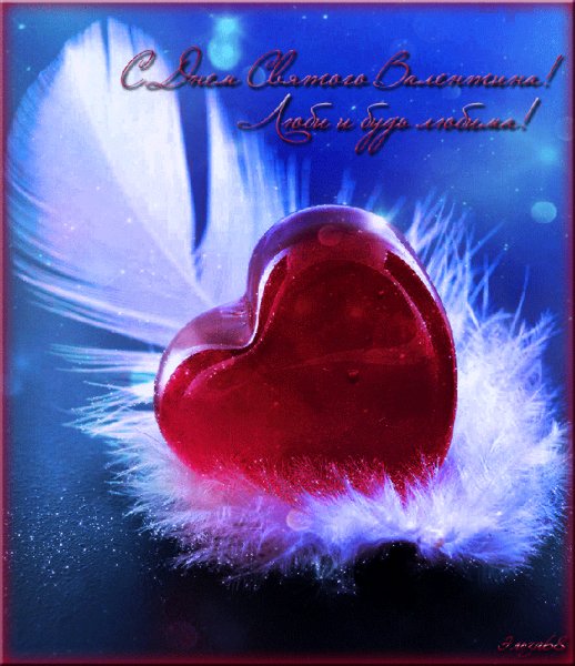 IMG 20180214 155604 0