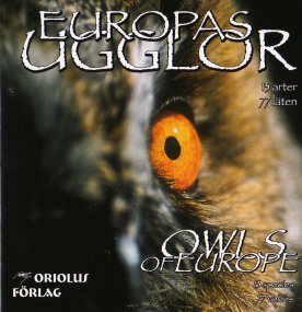 Pavel Pelz - Bubo bubo 3 Calls before copulation
