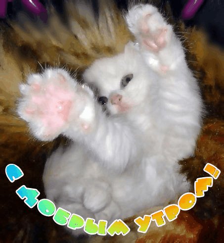 С Добрым утром!