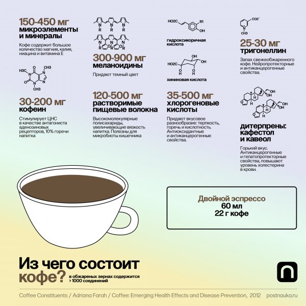 Из чего состоит кофе