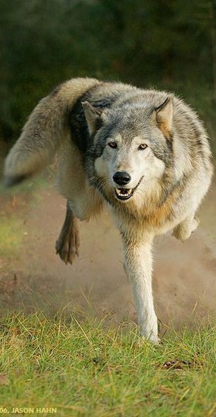 C64d62eff5700ae6bd3a27769db46ee9