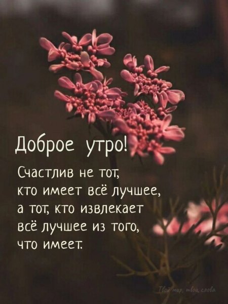 Доброе утро