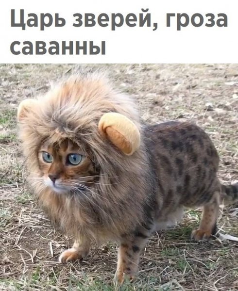 photo 1523587598