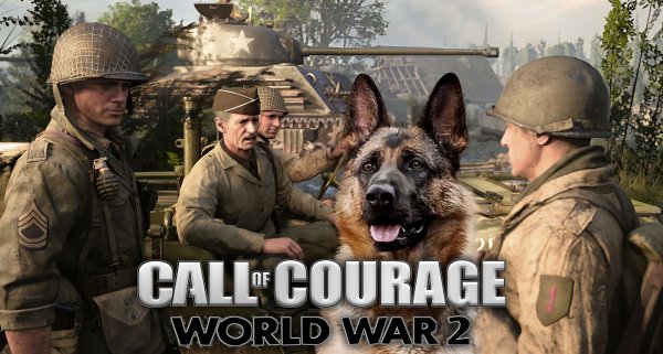 Call Of Courage WWII [Mod]