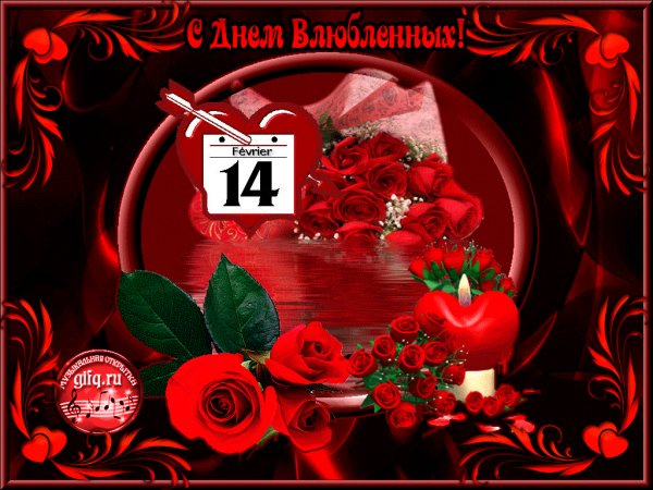 IMG 20160213 132534 0