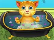 Talking Ginger Bathing