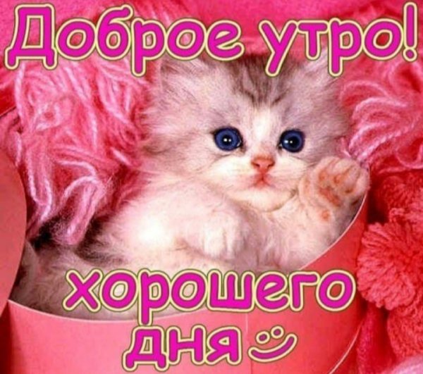 IMG 20191220 143956