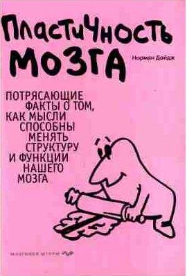 Пластичность мозга [Потрясающие факты о том, как мысли способ