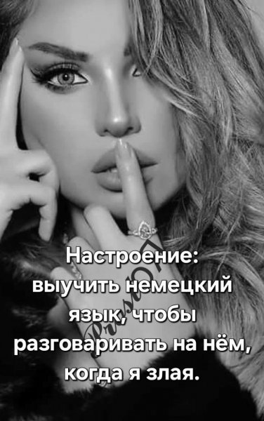 E53bc8b36bc76b37f86868040b596287