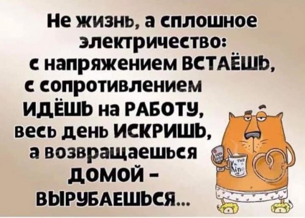 FB IMG 1716970328399