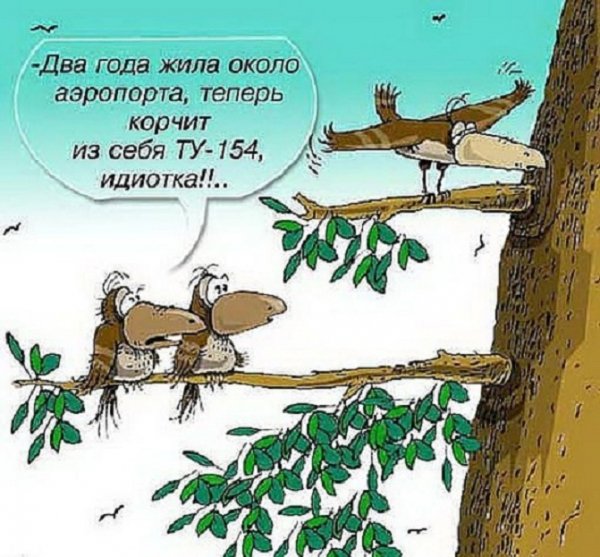 Корчит из себя ТУ - 154