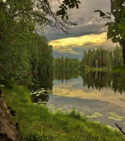 FB IMG 1581178854505