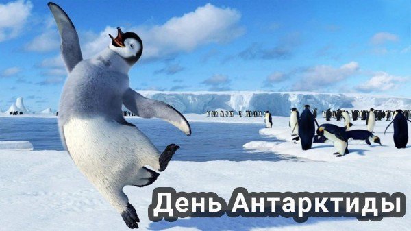 file_95191980