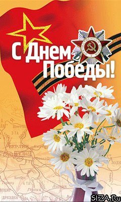 file_81321062