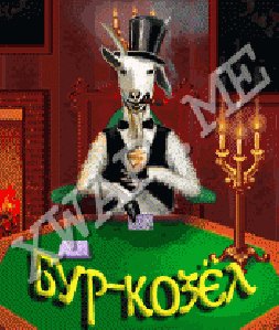 Bur Kozel