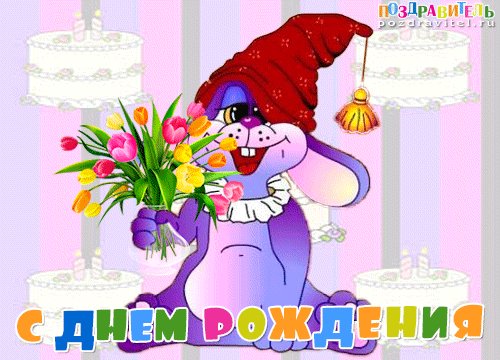 11 С днём рождения