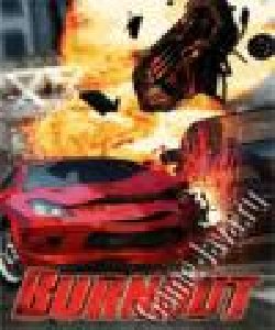 3D Burnout 176x220