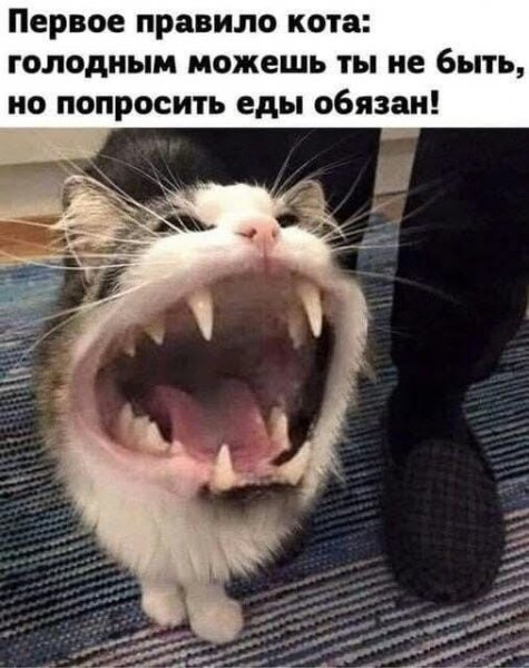 FB IMG 1766865778897