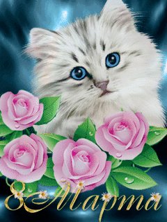 file_67747466