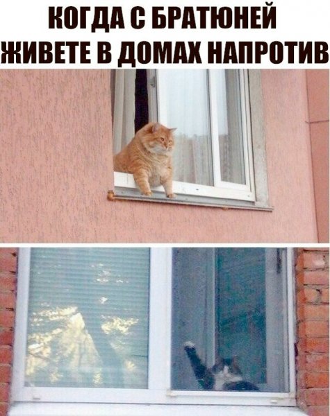 file_102812800