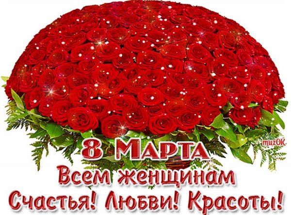 image (17)