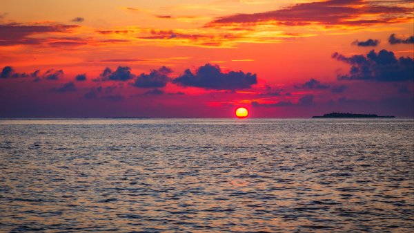 file_99295162