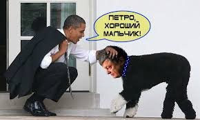 скачанные файлы (2)