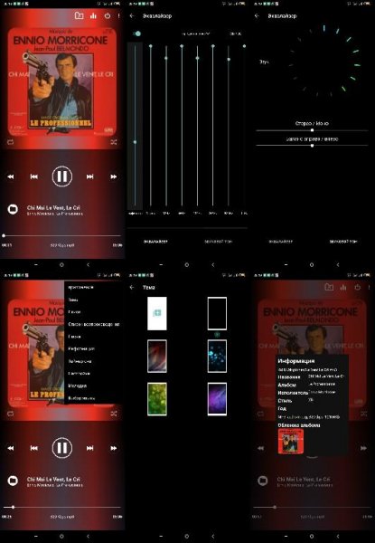 Qamp.Pro.v1.1.118(1100118)x86