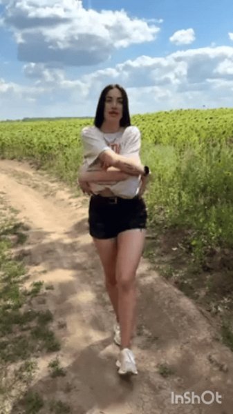 Поле подсолнухов