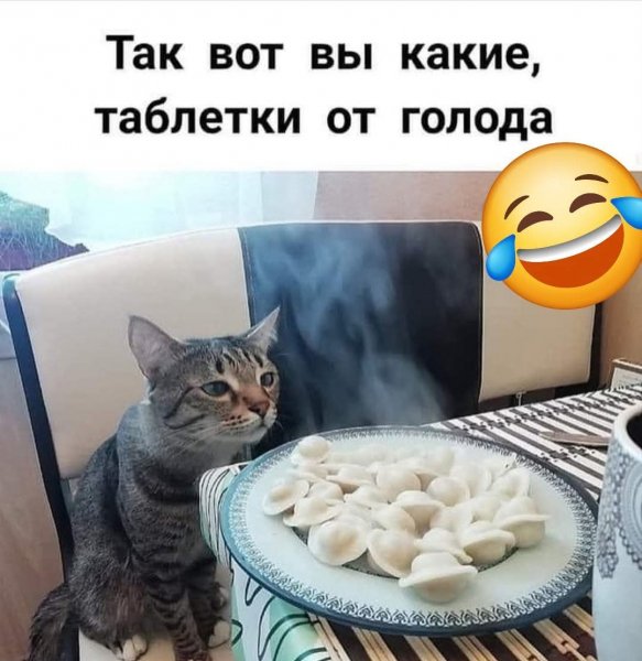 FB IMG 1778007336563