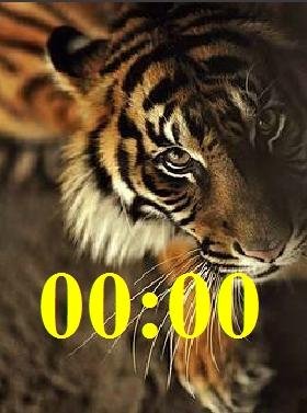 Тигр цифр часы (2)