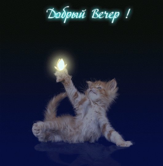 добрый вечер!
