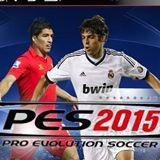 PES 2015 AFC