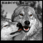 Волки любят на всегда