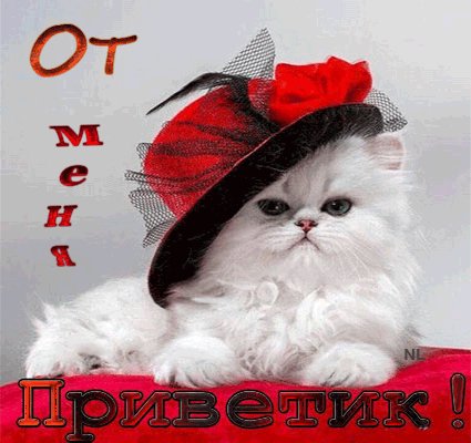 анимированная открытка от меня привет