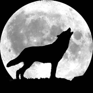 howling wolf